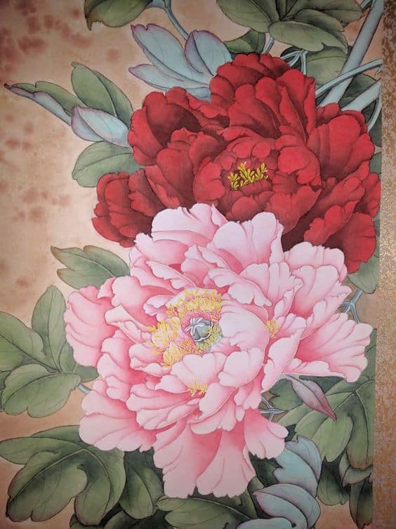 Hoa Mẫu Đơn