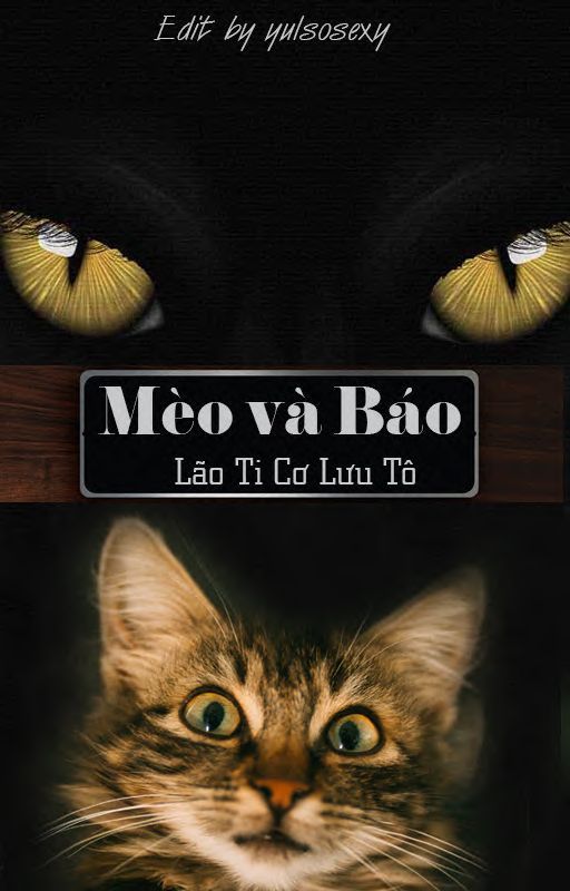 Mèo và Báo
