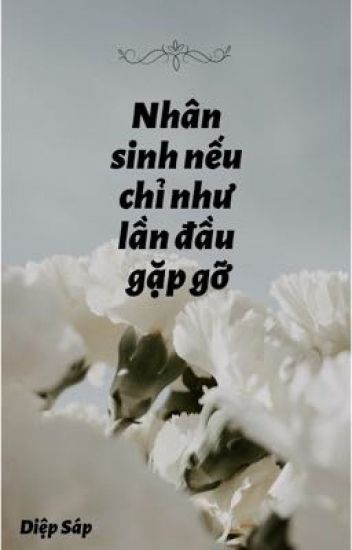 Nhân Sinh Nếu Chỉ Như Lần Đầu Gặp Gỡ