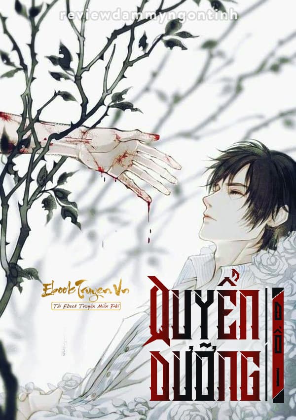 Quyển Dưỡng – Đồi