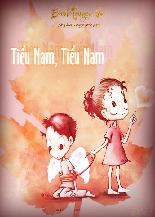 Tiểu Nam, Tiểu Nam