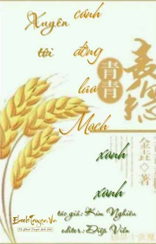 Xuyên Đến Cánh Đồng Lúa Xanh Xanh